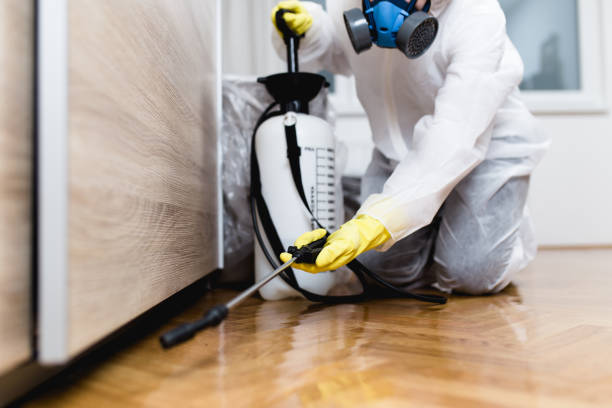 Pest Control for Restaurants in Woburn, MA