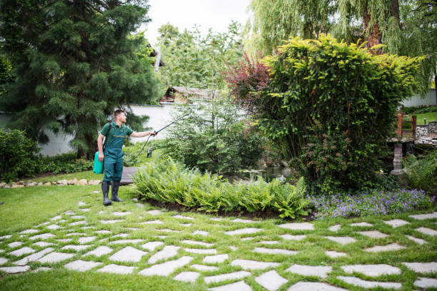 Best Flea Control Services  in Woburn, MA