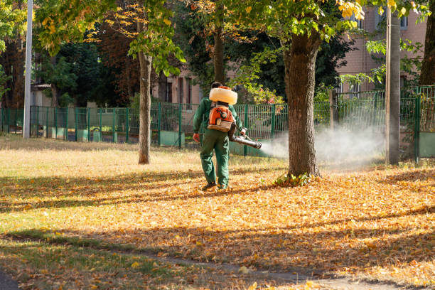 Best Wasp Removal Services  in Woburn, MA