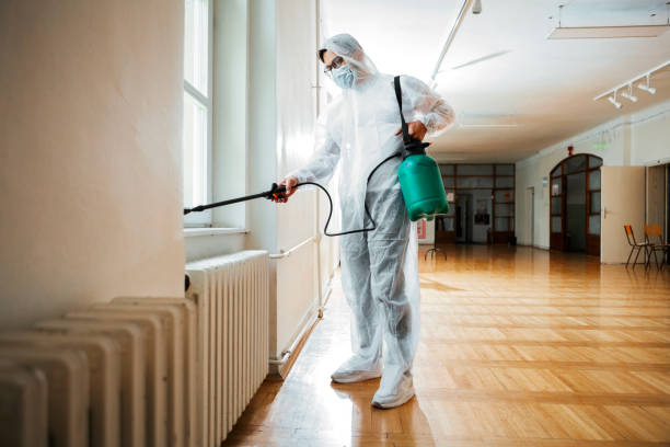 Best Termite Control Services  in Woburn, MA